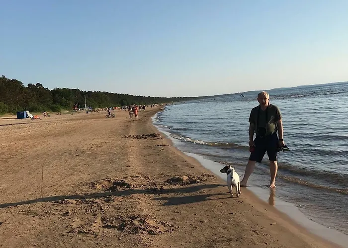 Apartamento In Vabaduse 72